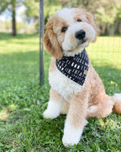 Load image into Gallery viewer, Spooktacular Halloween Dog Bandana (Glow-in-the-dark)
