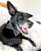 Load image into Gallery viewer, Mad Love Dog Bow Tie (Sailor Bow Add-On Available)
