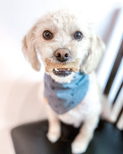 Load image into Gallery viewer, Mini Bone Shaped Dog Cookie Cutter
