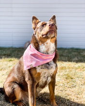 Load image into Gallery viewer, Sweet Sunshine Dog Bandana

