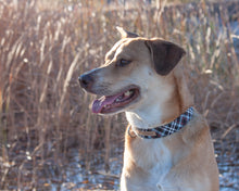 Load image into Gallery viewer, SO Plaid Dark Dog Collar (Personalization Available)
