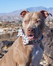 Load image into Gallery viewer, SO Plaid Light Dog Bow Tie

